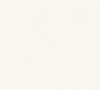 PINTWALLS PARATO VINILICSU TNT UNITO WHITE 0,53X10,05MT