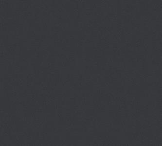 PINTWALLS PARATO VINILICSU TNT UNITO NERO 0,53X10,05MT
