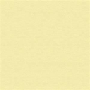 TRENDWALL2 PARATO TNT   UNITO GIALLO MIS.10,05X0,53MT