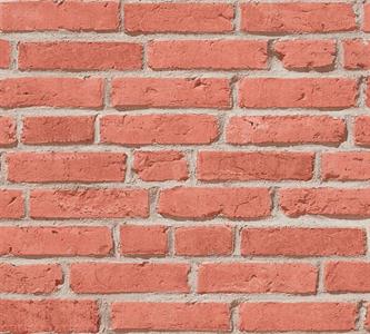 ELEMENTS PARATO TNT MATTONE MARRONE 10x0,53 mt