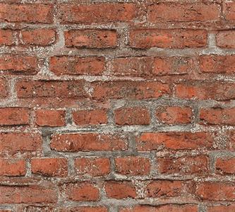 ELEMENTS PARATO TNT MATTONE ROSSO 10x0,53 mt