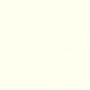 TRENDWALL2 PARATO TNT   UNITO BIANCO MIS. 10,05X0,53MT