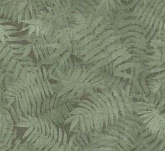 PASSION PARATO SU TNT   FOGLIE VERDE 10x0,53 mt