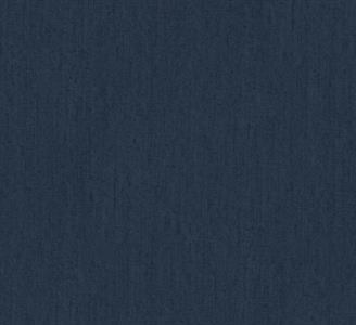 PASSION PARATO SU TNT   UNITO BLU 10x0,53 mt