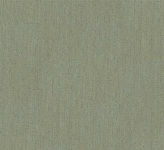 PASSION PARATO SU TNT   UNITO VERDE 10x0,53 mt