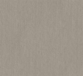 PASSION PARATO SU TNT   UNITO GRIGIO 10x0,53 mt