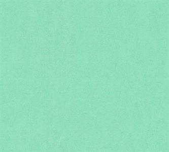 VERSACE 4 PARATO TNT TINUNITA VERDE 10,05x0,70mt  B