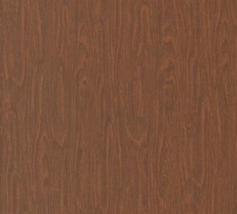VERSACE 4 PARATO TNT DISNO E FANTASIE MARRONE 10,05x0,70mt  C