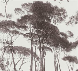 HISTORY OF ART PARATO TNDIS, ALBERI SU FONDO BIANCO 10X0,53 MT