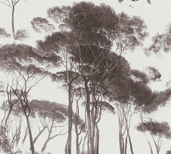 HISTORY OF ART PARATO TNDIS, ALBERI SU FONDO BIANCO 10X0,53 MT