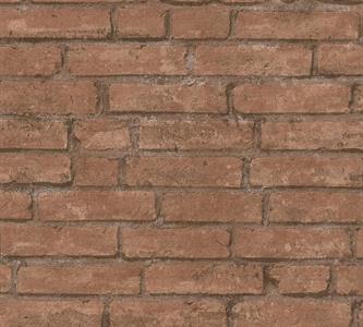 ELEMENTS PARATO TNT MATTONE MARRONE 10x0,53 mt