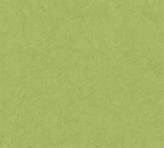 METROPOLITAN STOR. 2 PARATO TNT UNITO VERDE 10x0,53 mt