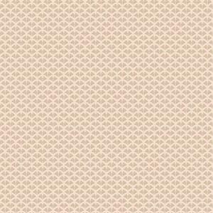 TRENDWALL2 PARATO TNT   TRAME ARGEN.PAN. 10,05X0,53MT