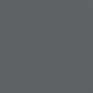 TRENDWALL2 PARATO TNT   UNITO NERO MIS.10,05X0,53MT