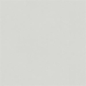 TRENDWALL2 PARATO TNT   UNITO GRIGIO CH 10,05X0,53MT