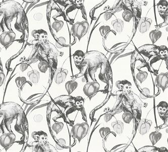MICHALSKY4 PARATO TNT   MONKEY BIAN.MIS.10,05X0,53MT