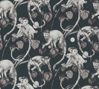 MICHALSKY4 PARATO TNT   MONKEY NERO 10,05X0,53 MT