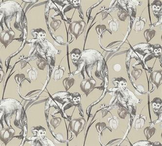 MICHALSKY4 PARATO TNT   MONKEY BEIGE MIS.10,05X0,53MT
