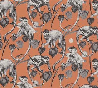 MICHALSKY4 PARATO TNT   MONKEY ORANG. MIS.10,05X0,53MT
