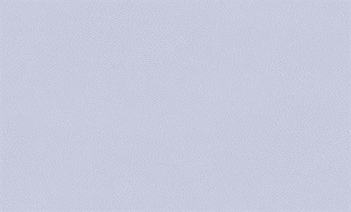 LITTLE LOVE PARATO TNT  UNITO BLUE MIS.10,05X0,53MT