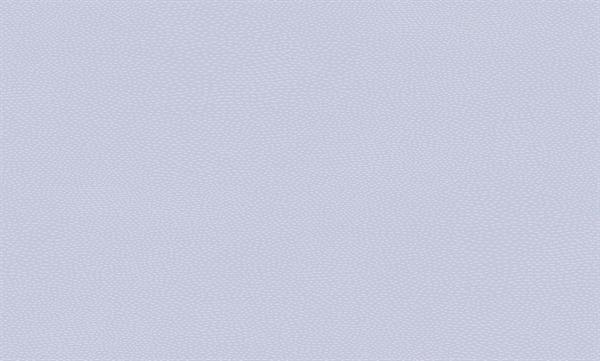 LITTLE LOVE PARATO TNT  UNITO BLUE MIS.10,05X0,53MT