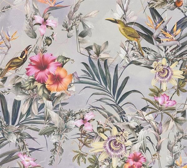 PARATO DREAM FLOWERY.   TNT BIRD GREY 0,53X10,05MT