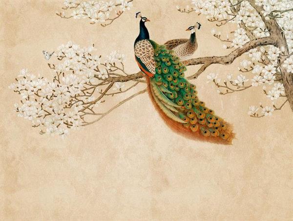 STAMPE THE WALL VINILICOSU TNT PAVON BG 371X280CM 7 TELI