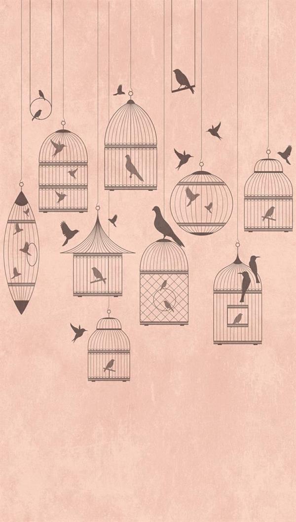 STAMPE THE WALL VINILICOSU TNT BIRDS PINK 159X280CM 3 TELI
