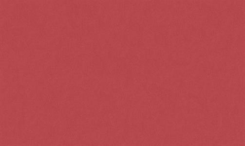 LITTLE LOVE PARATO TNT  UNITO ROSSO MIS.10,05X0,53MT