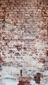STAMPE THE WALL VINILICOSU TNT MATER.D.159X280CM 3 TELI