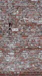 STAMPE THE WALL VINILICOSU TNT MATER.D.159X280CM 3 TELI