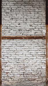 STAMPE THE WALL VINILICOSU TNT MURO G.R. 159X280CM 3 TELI