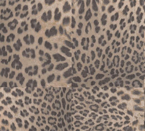 DESERT LODGE PARATO TNT GHEPARD MOOD 0,53X10,05MT