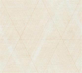 PARATO THE BOS VINILICO .TNT  GEOM.PANNA 0,53X10,05MT