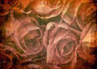 VISIONE DIGITALE STAMPA DIGITALE FIORI VINTAGE H. 270x180cm (4te