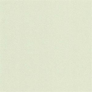 COULEURS&MATIERES 2 PARATO TNT MAT. BIANCO GLITT. 10x0,53mt