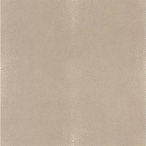 COULEURS&MATIERES 2 PARATO TNT EFF. PELLE GRIGIO 10x0,53mt
