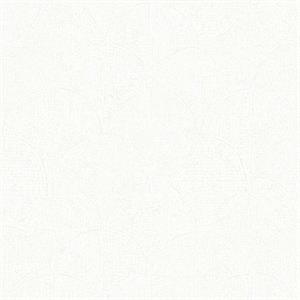 COULEURS&MATIERES 2 PARATO TNT ESP MAT. BIANCO 10x0,53mt