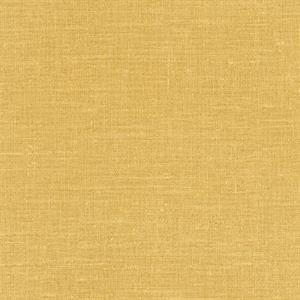 COULEURS&MATIERES 2 PARATO TNT EFF. SACCO SENAPE 10x0,53mt