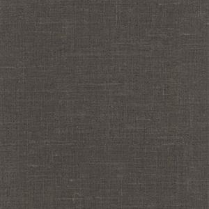 COULEURS&MATIERES 2 PARATO SU TNT EFF. SACCO GRIGIO 10x0,53mt