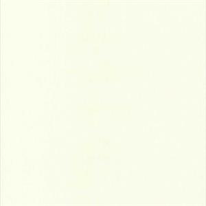 COULEURS&MATIERES 2 PARATO TNT MATERICO BIANCO 10x0,53mt