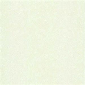COULEURS&MATIERES 2 PARATO TNT MATERICO BIANCO 10x0,53mt