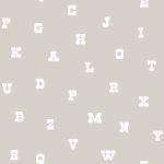 PARATO JOY  IN TNT      /LETTERE GREY 0,53X10,05MT