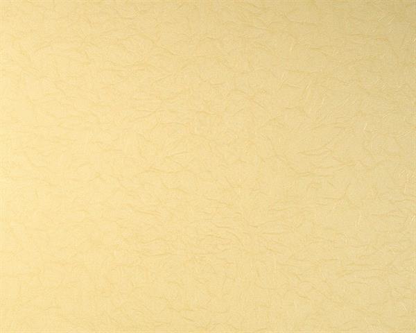 PARATO PVC AMBASSADOR H70CM