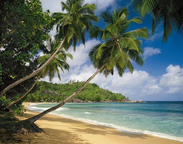 FOTOMURALE KOMAR HOME 4 TROPICAL SEA MIS. 268X254 cm