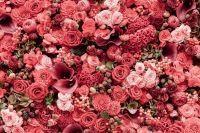 VISIONE DIGITALE STAMPA DIGITALE FIORI ROSE H. 270x360cm (8teli)