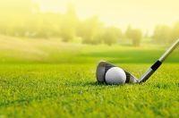 VISIONE DIGITALE STAMPA DIGITALE GOLF H. 270x360cm (8teli)