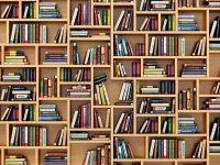 VISIONE DIGITALE STAMPA LIBRERIA H. 270x360cm (8teli)