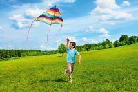 VISIONE DIGITALE STAMPA VITALITY H. 270x360cm (8teli)