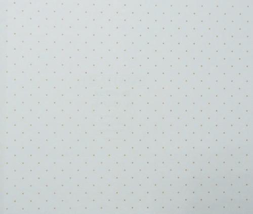 SCARLET PARATO 10x0,52 mt